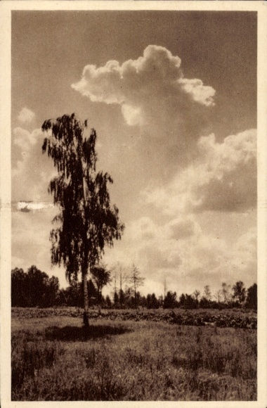 Wieczór w Spreewaldzie, WHW Piękne Niemcy, Zdjęcie 134