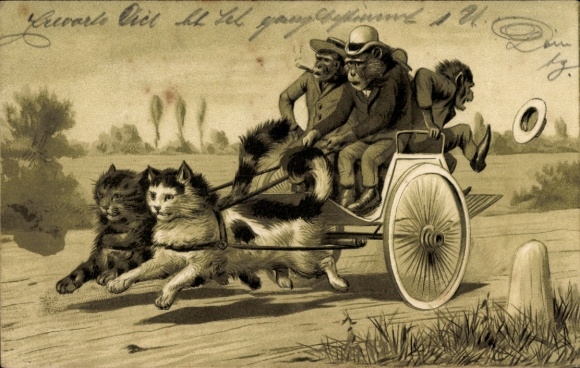Emboss Chromo-Litho Humanized animals, cats pull a carriage with monkeys, chimpanzees