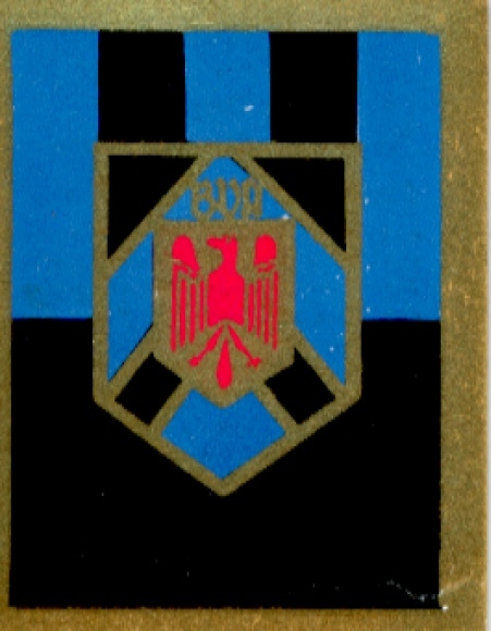 Collector's picture sports crest, football, West Germany, BV 06 Essen-Altenessen, picture no. 13