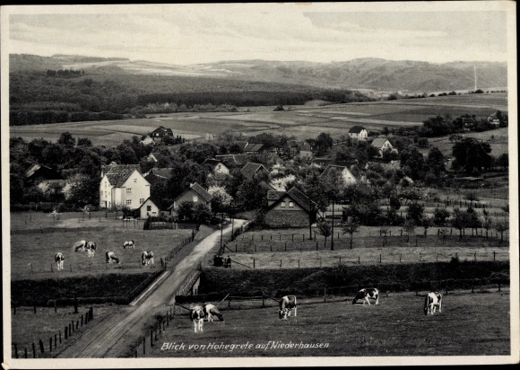 PC Niederhausen splendor in the Westerwald, view from Hohengrete on the place, cattle