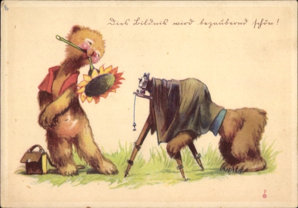 Artist Postcard Salac, AL The portrait becomes enchantingly beautiful, bears, camera, photographer