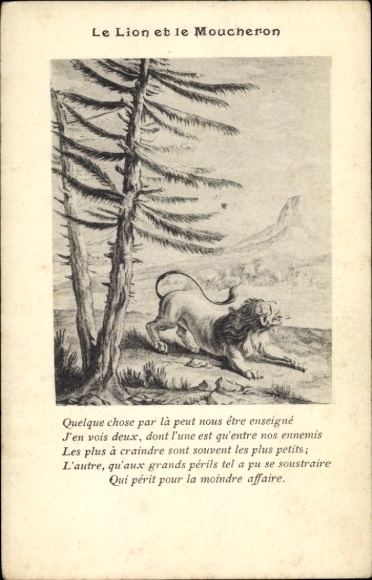 Postcard Lion, Fable, Le Lion et le Moucheron