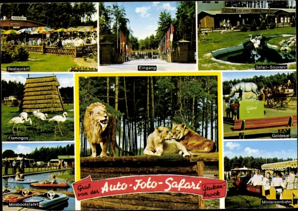 Postcard Stukenbrock in Westphalia, Senne Big Game Safari, Restaurant, Entrance, Flamingos, Lions