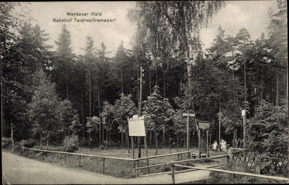 Ak Teichwolframsdorf in Thüringen, Waldlandschaft, Bahnhof  