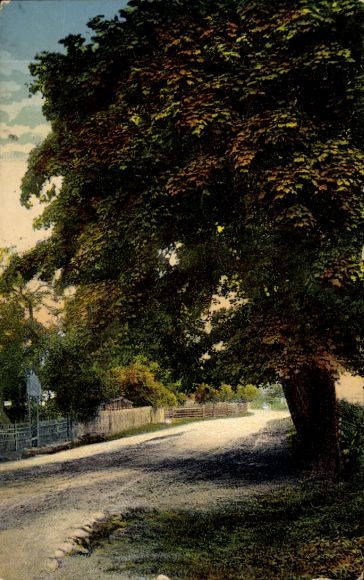 Ak Caputh Schwielowsee, Landschaftsaufnahme, breite Landstraße, große Bäume, hügelige Umgebung