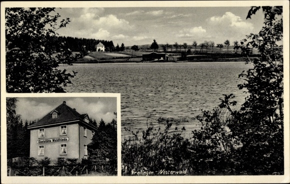 Ak Freilingen in het Westerwald, herberg en pension Waldfriede