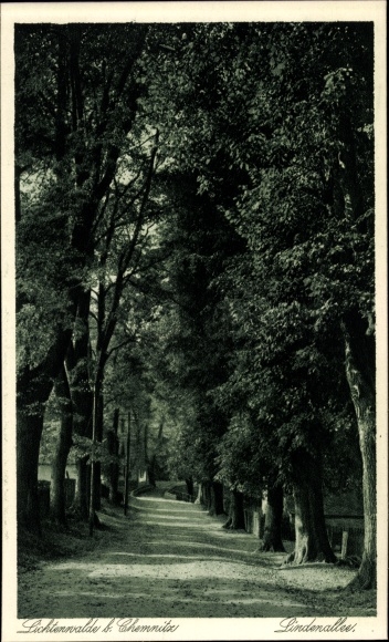 Ak Lichtenwalde Niederwiesa in Sachsen, Lindenallee