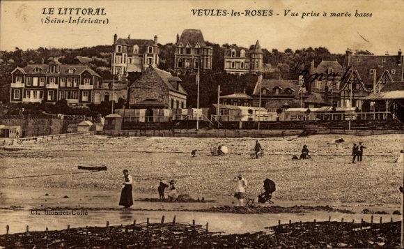 Ak Veules les Roses Seine-Maritime, Vue prise a maree basse