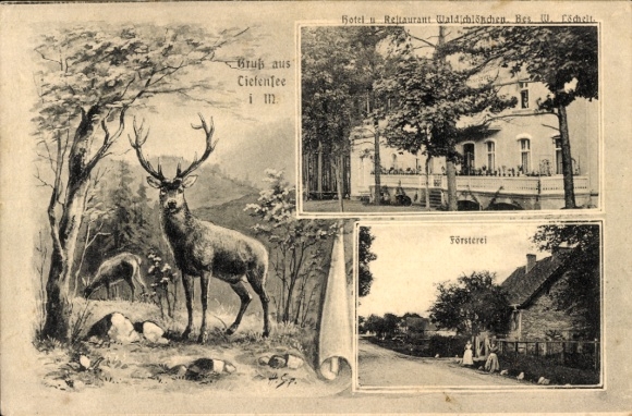 Postcard Tiefensee Werneuchen in der Mark, Forestry Office, Hotel Restaurant Waldschlösschen