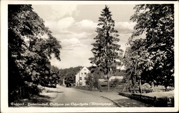 Ak Eichhorst Hubertusstock Schorfheide, Gasthof zur Schorfheide