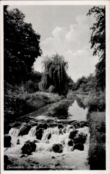 Ak Eberswalde im Kreis Barnim, Weidendammpromenade, Wasserfall