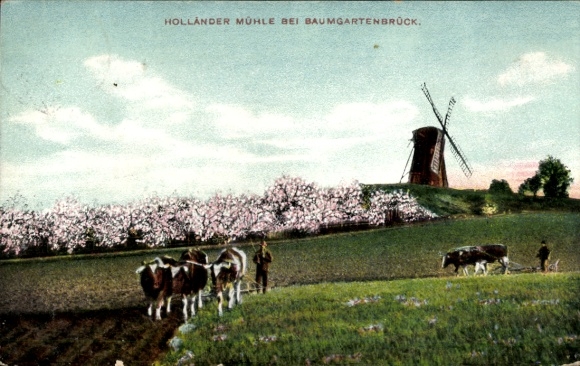 Ansichtkaart Geltow an der Havel, Baumgartenbrück, Holländer Mühle