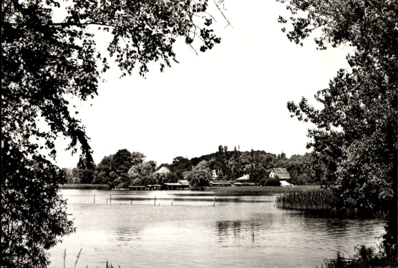 Postcard Himmelpfort Fürstenberg an der Havel, lake view, trees, houses in the background, black and white F