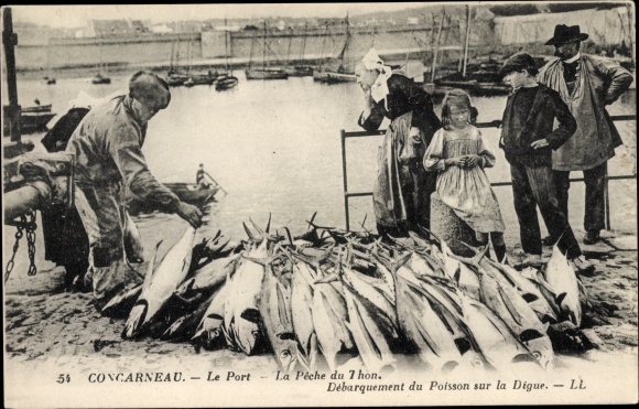 Postcard Concarneau Finistère, Le Port, tuna fishing, landing fish on the dike