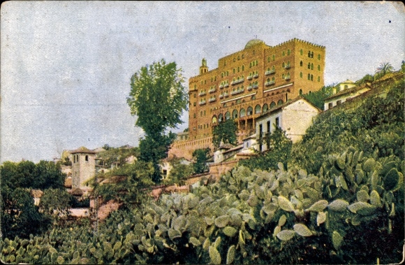 Postcard Granada Andalusia Spain, Hotel Alhambra Palace, cacti