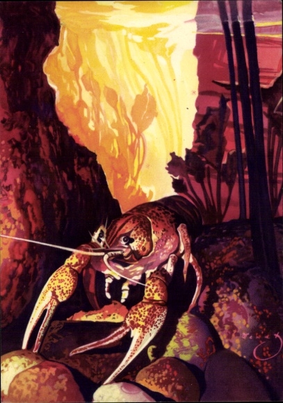Artist Postcard Wendt, crab in ambush, lobster