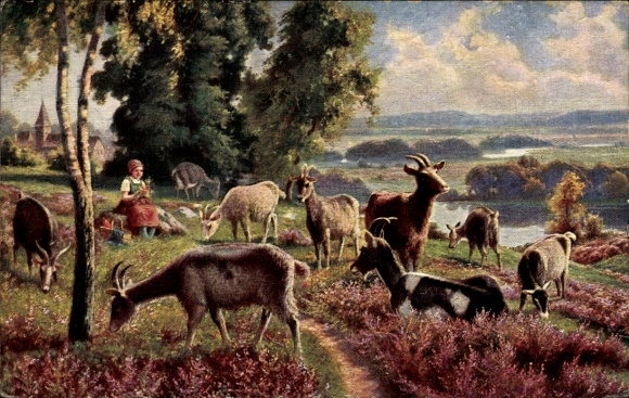 Künstler Ak Landschaft, weidende Ziegen