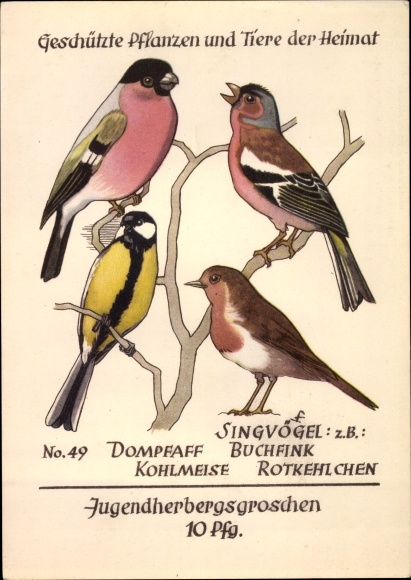 Postcard Jugendherbergsgroschen, protected plants and animals, bullfinch, great tit, chaffinch, robin