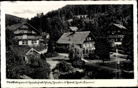 Ak Międzygórze Wölfelsgrund Schlesien, Hotel Gute Laune, Garten