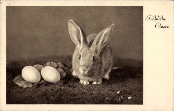 Ak Glückwunsch Ostern, Osterhase, Ostereier