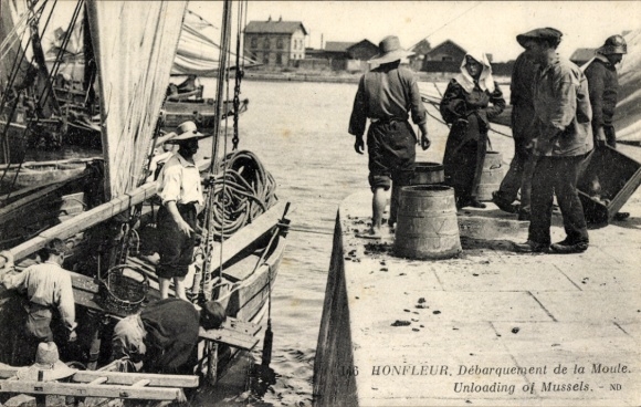 Ak Honfleur Calvados, Hafenansicht, Muschellieferung, Segelboote, Arbeiter