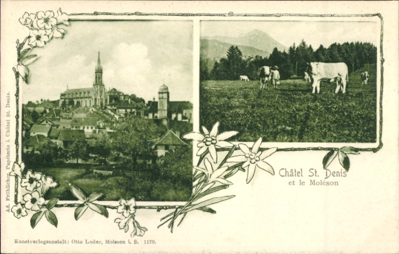 KP Châtel Saint Denis Canton Fryburg, częściowy widok, Moléson