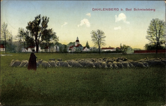 KP Dahlenberg w Düben Heath Trossin, pasterz ze stadem owiec