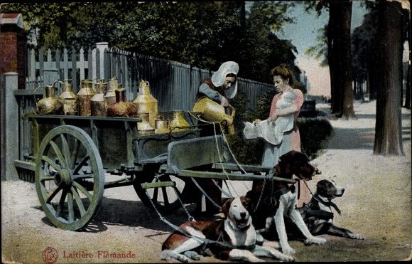 Postcard Laitière Flamande, Dog cart, milkmaid in costume