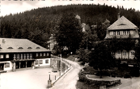 Ak Kipsdorf Altenberg im Erzgebirge, Zeigt einen Kurort, Gebäude, Wald, eine Straße,  Architektur