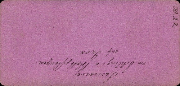 Stereo CdV Java Indonesië, wadplanten