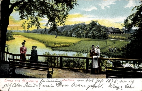 Ak Pinneberg in Holstein, Waldblick