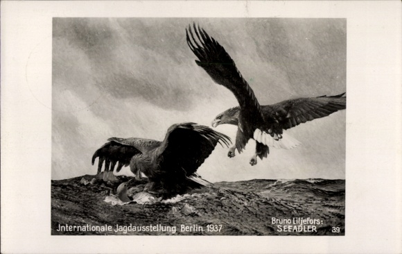 Ak Internationale Jagdausstellung Berlin 1937, Gemälde Adler, Nest