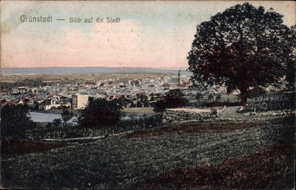 Ak Grünstadt an der Weinstraße Pfalz,  Blick auf die Stadt, Landschaft, Bäume, Häuser