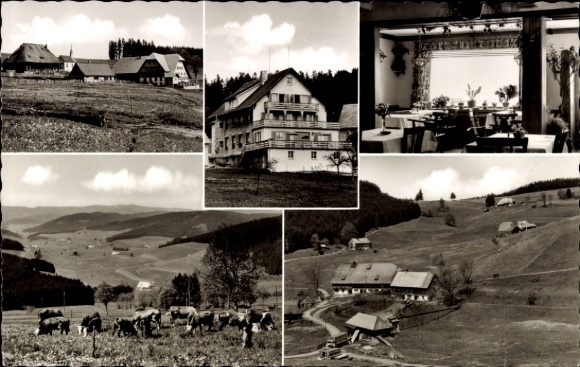 Ak Schwärzenbach Titisee Neustadt im Breisgau Hochschwarzwald, Pension Haus Feldbergblick, Landsc