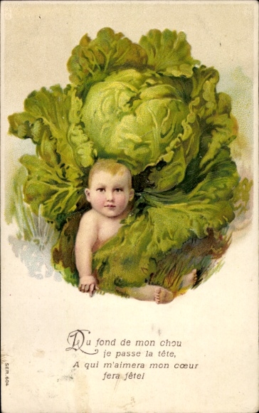 Tłoczone narodziny Ak, portret dziecka, kapusta
