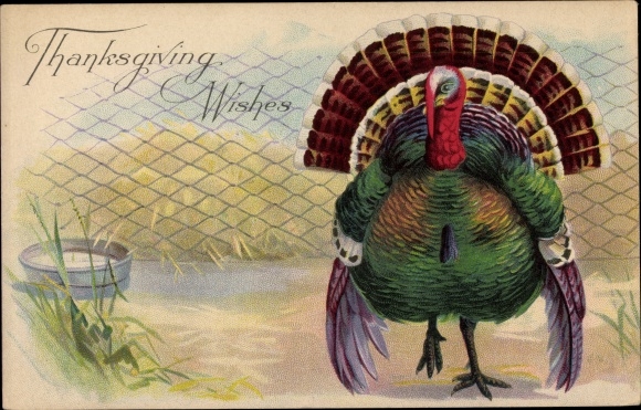 Präge Ak Thanksgiving, Turkey, Truthahn