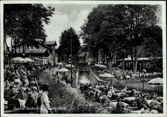 Ak Dresden Nord Langebrück, Gasthof Haidemühle, Dresden Heath, tuin, excursie gasten