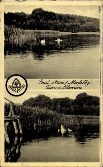 Postcard Stuer in Mecklenburg, Our Swans