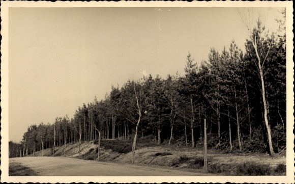Photo Postcard Zerbst in Anhalt, cycling route
