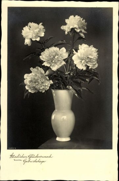 10 old AK flower pictures, flower photos, different views