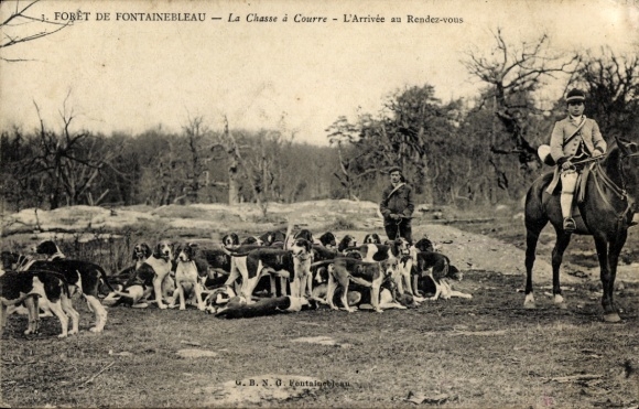 Ak Wald von Fontainebleau Seine et Marne, Jagd, La Curee, Hunde