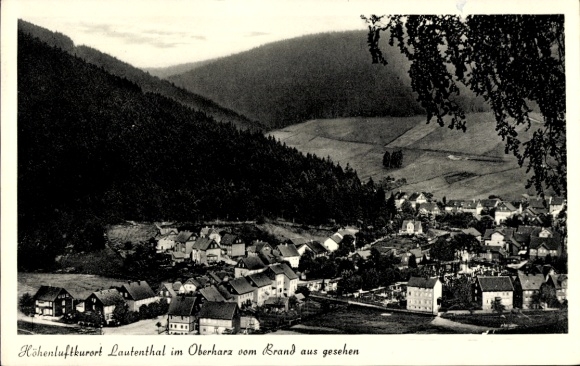 Ak Lautenthal Langelsheim im Oberharz, Landschaftsaufnahme, kleine Häuser, Wald im Hintergrund...