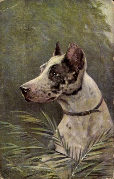 Künstler Ak Dogge, Novitas 4313