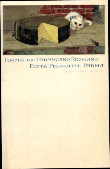 Chromo-Litho Parmigiano Reggiano Cheese, Pelagatti Company Parma, Käse, Hauskatze