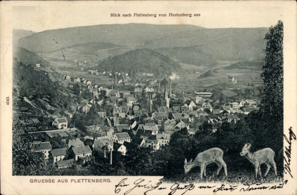 Postcard Plettenberg in Sauerland Westphalia, general view, deer