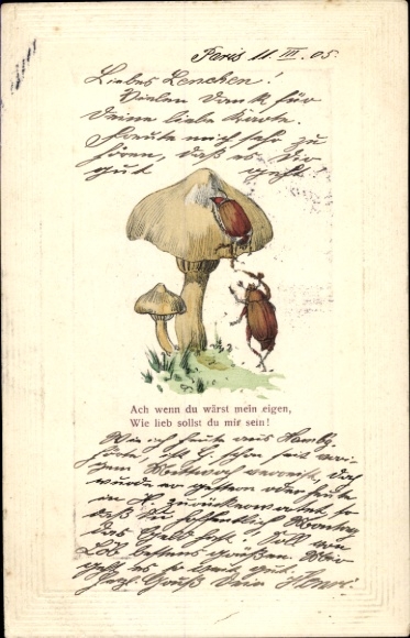 Passepartout Postcard Oh if you were my own, How dear you should be to me, May beetles, mushrooms