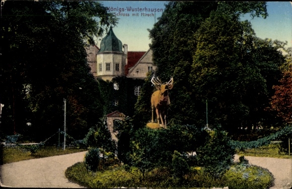 KP Königs Wusterhausen w Brandenburgii, zamek, jeleń