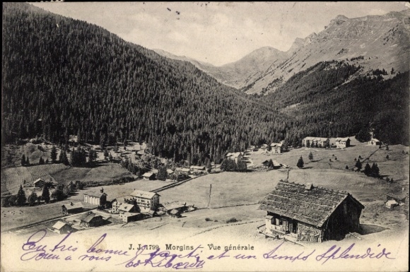 KP Morgins Kanton Valais Szwajcaria, zdjęcie krajobrazu, góry, łąki, budynki,