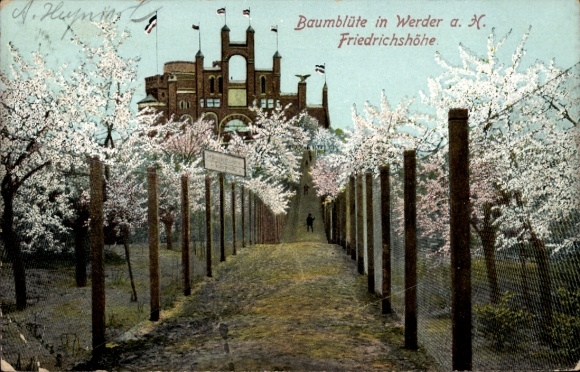 Ak Werder an der Havel, Baumblüte, historische Architektur, blühende Bäume, Spaziergänger