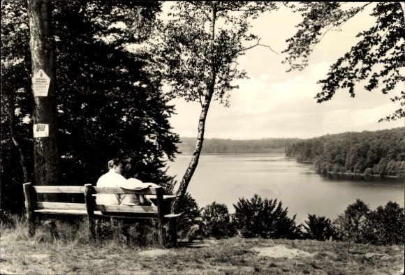 Postcard Neuglobsow Stechlin Brandenburg, man sitting on a bench, view of Peetschsee, wooded landscape...